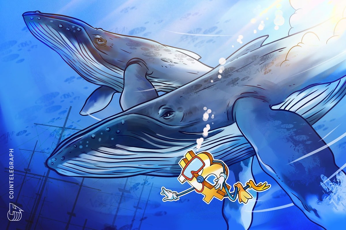 Bitcoin’s Second-Biggest Whale Accumulation Fails to Crack $106K Barrier