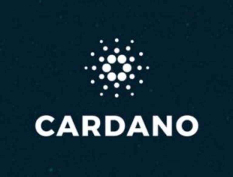 Cardano holder loses millions in stablecoin swap mistake