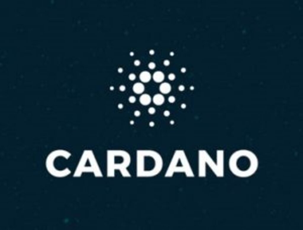 Cardano holder loses millions in stablecoin swap mistake