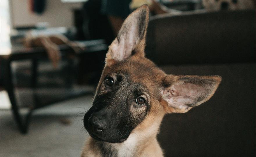 Even Prediction Markets Didn’t See BTC's Selloff Coming