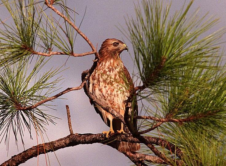 Jerome Powell and the Fed Have New Bearish Jobs Data to Mull