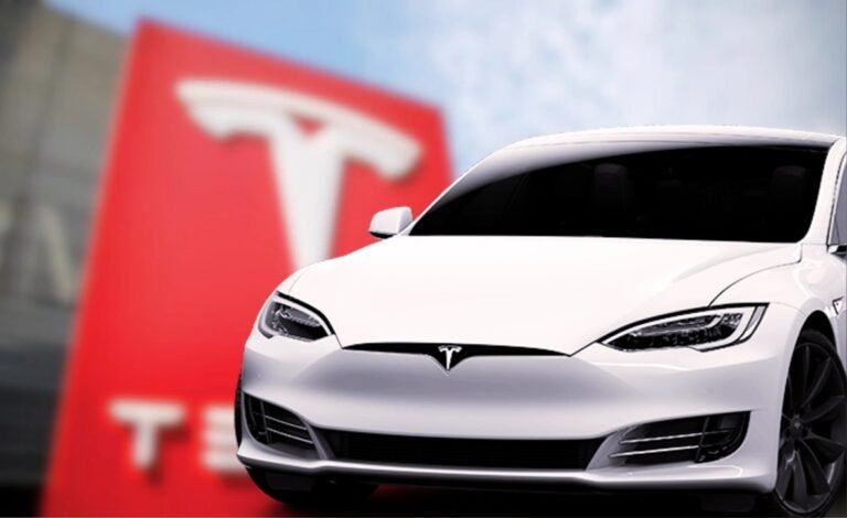 Tesla Europe registrations slide 48% amid bad October performance