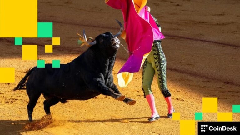 Zoom 12% as Bitcoin Bounces Above $93K. But Will The Rally Last?